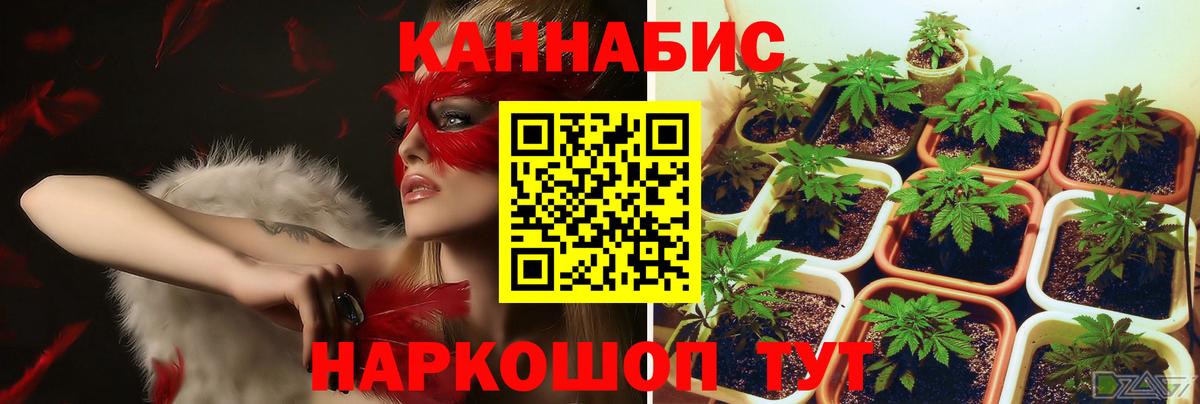 Лиски  Марихуана SATIVA & INDICA  Вход с VPN  МАРИХУАНА Ganja  Канабис ГИДРОПОН  Бошки Шишки индика 